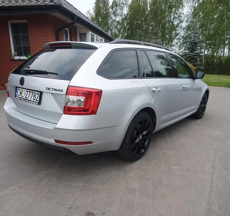 Skoda Octavia cena 74900 przebieg: 178000, rok produkcji 2019 z Węgorzyno małe 67